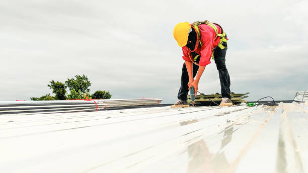 Best Roof Moss and Algae Removal  in Clearlake, CA